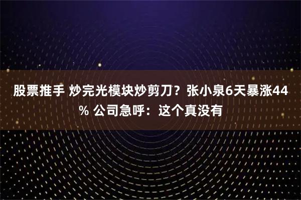 股票推手 炒完光模块炒剪刀？张小泉6天暴涨44% 公司急呼：这个真没有